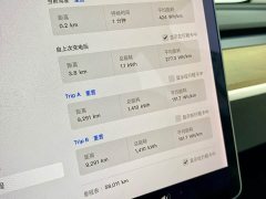 Tesla Model Y Standard Range RWD - ფოტო 12