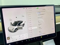 Tesla Model Y Standard Range RWD - ფოტო 13