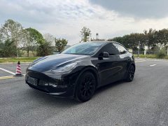 Tesla Model Y Standard Range RWD - ფოტო 2