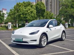 Tesla Model Y Rear-Wheel Drive - ფოტო 1