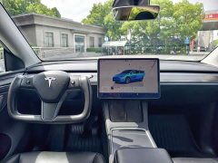 Tesla Model Y Rear-Wheel Drive - ფოტო 12