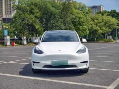 Tesla Model Y Rear-Wheel Drive - ფოტო 2