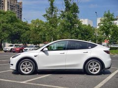 Tesla Model Y Rear-Wheel Drive - ფოტო 4