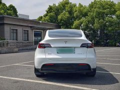 Tesla Model Y Rear-Wheel Drive - ფოტო 6