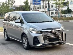 Buick GL8 Land Executive Cabin 652T Luxury - ფოტო 3