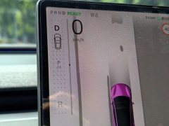 Tesla Model 3 Rear-Wheel Drive - ფოტო 13