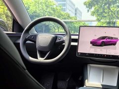 Tesla Model 3 Rear-Wheel Drive - ფოტო 14