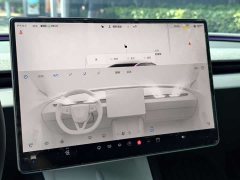 Tesla Model 3 Rear-Wheel Drive - ფოტო 17