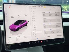 Tesla Model 3 Rear-Wheel Drive - ფოტო 18