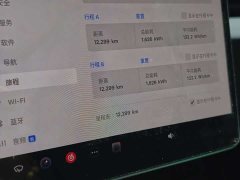 Tesla Model 3 Rear-Wheel Drive - ფოტო 19