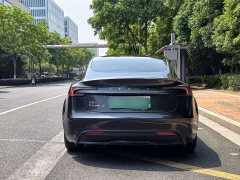 Tesla Model 3 Rear-Wheel Drive - ფოტო 6