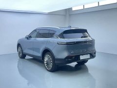 Voyah Lantu FREE 2021 Four-Wheel Drive Standard Extended Range Exclusive Luxury Package - ფოტო 13