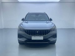 Voyah Lantu FREE 2021 Four-Wheel Drive Standard Extended Range Exclusive Luxury Package - ფოტო 2