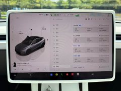 Tesla Model Y Long Range All-Wheel Drive - ფოტო 13