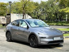 Tesla Model Y Long Range All-Wheel Drive - ფოტო 3