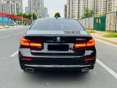 BMW 5 Series 530Li Luxury Edition Premium Package - ფოტო 8