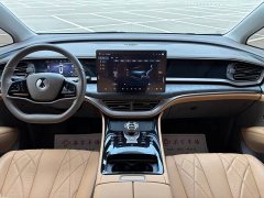 Denza D9 DM-i 945 Edition - ფოტო 10