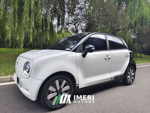 2021 ORA Black Cat 351km Luxury - ავტომობილი ჩინეთიდან