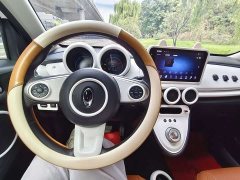 ORA Black Cat 351km Luxury - ფოტო 12