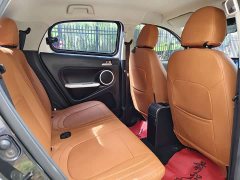 ORA Black Cat 351km Luxury - ფოტო 14