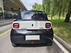 ORA Black Cat 351km Luxury - ფოტო 4