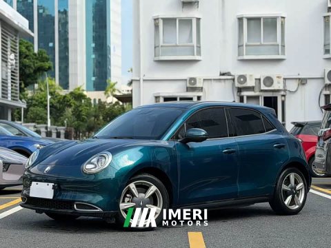 2022 Ora Good Cat Edition 400kmStandard Range Premium Version - ავტომობილი ჩინეთიდან