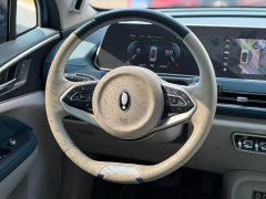 Ora Good Cat Edition 400kmStandard Range Premium Version - ფოტო 11
