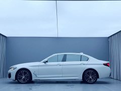 BMW 5 Series 530Li Premier M Sport Package - ფოტო 8