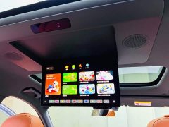Li Auto L9 2022 Max - ფოტო 16