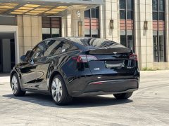 Tesla Model Y 2022 Rear-Wheel Drive - ფოტო 8