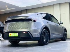 Tesla Model Y Rear-Wheel Drive - ფოტო 4