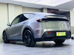Tesla Model Y Rear-Wheel Drive - ფოტო 6