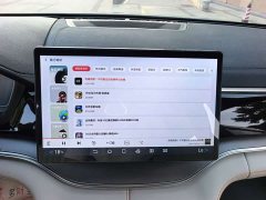 BYD Song Plus New Energy New Energy DM-i 71km Luxury - ფოტო 15