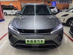 BYD UP Edition 301KM Version - ფოტო 2