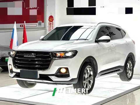 2023 Haval H6 2021 National Trend 1.5T Automatic Champion Edition - ავტომობილი ჩინეთიდან