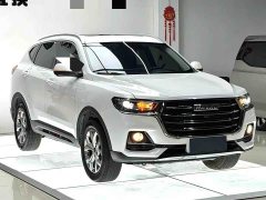 Haval H6 2021 National Trend 1.5T Automatic Champion Edition - ფოტო 3