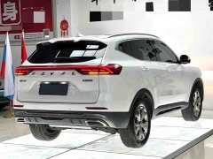 Haval H6 2021 National Trend 1.5T Automatic Champion Edition - ფოტო 4