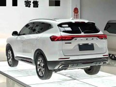 Haval H6 2021 National Trend 1.5T Automatic Champion Edition - ფოტო 6