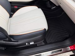 BYD Song Plus New Energy New Energy EV Premium - ფოტო 14