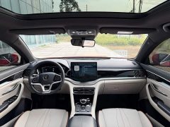 BYD Song Plus New Energy New Energy EV Premium - ფოტო 17