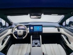 BYD Song L EV 662km Excellence Edition - ფოტო 6