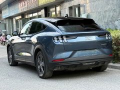Ford Mustang Mach-E 2021 Standard Range RWD - ფოტო 4