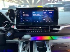 Toyota Sienna 2.5L Hybrid Premium Edition - ფოტო 13