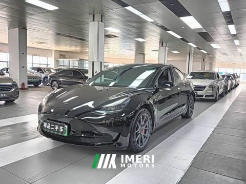 2022 Tesla Model 3 Rear-Wheel Drive - ავტომობილი ჩინეთიდან