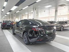 Tesla Model 3 Rear-Wheel Drive - ფოტო 8