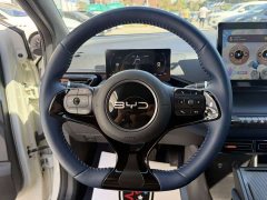 BYD Seagull Glory Edition 305km Freedom Version - ფოტო 14