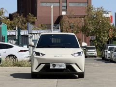BYD Seagull Glory Edition 305km Freedom Version - ფოტო 2