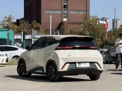 BYD Seagull Glory Edition 305km Freedom Version - ფოტო 4
