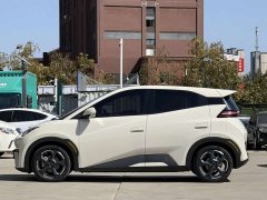 BYD Seagull Glory Edition 305km Freedom Version - ფოტო 7