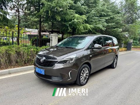 2021 Buick GL8 Land Business Class 652T Comfort - ავტომობილი ჩინეთიდან
